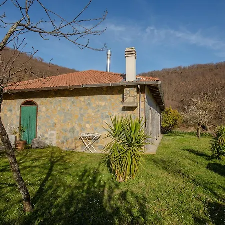 Maddalena Villa *